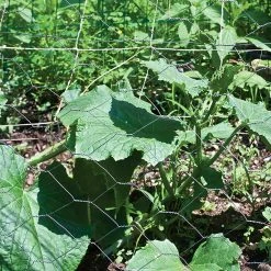 Hot Sale ⭐ Garden Zone Garden Craft Galvanized Poultry Hex Netting 2 In. 🥰 14 Hot Sale ⭐ Garden Zone Garden Craft Galvanized Poultry Hex Netting 2 In. 🥰 -Outlet Fencing Store 1008164 new 4