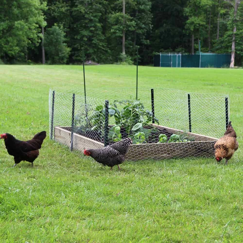 Discount 😍 Garden Zone Garden Craft Light Duty U Post ⭐ 9 Discount 😍 Garden Zone Garden Craft Light Duty U Post ⭐ - Image 7