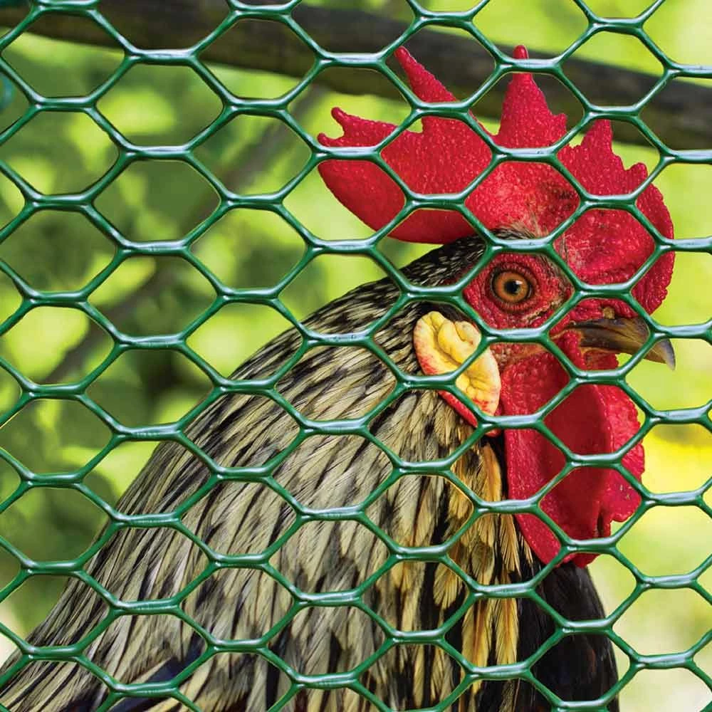 Promo ⌛ Garden Zone Plastic Poultry Netting 24 In. X 25 Ft. 🔥 3 Promo ⌛ Garden Zone Plastic Poultry Netting 24 In. X 25 Ft. 🔥 - Image 2