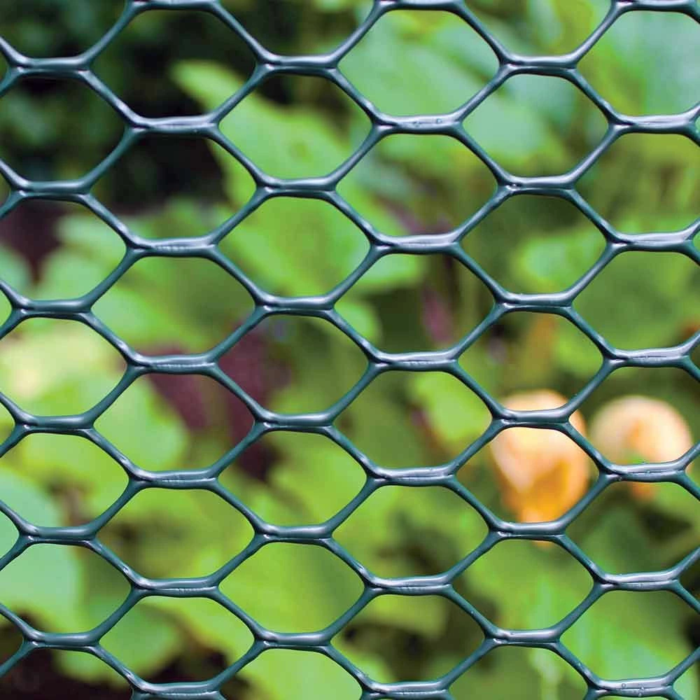 Best reviews of 🥰 Garden Zone 3/4 In. Green Plastic Poultry Fence 👍 4 Best reviews of 🥰 Garden Zone 3/4 In. Green Plastic Poultry Fence 👍 - Image 2